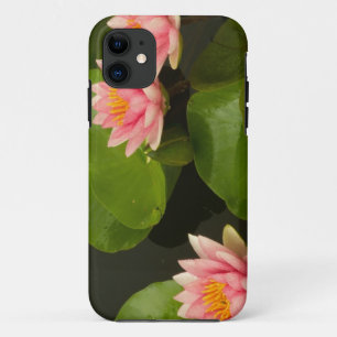 United States, DC, Washington, Kenilworth 4 iPhone 11 Case