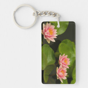 United States, DC, Washington, Kenilworth 4 Key Ring