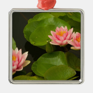 United States, DC, Washington, Kenilworth 4 Metal Ornament