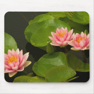 United States, DC, Washington, Kenilworth 4 Mouse Pad