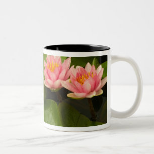 United States, DC, Washington, Kenilworth 4 Two-Tone Coffee Mug