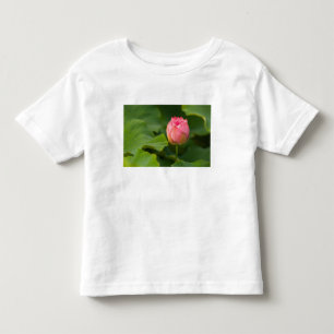United States, DC, Washington, Kenilworth Toddler T-Shirt