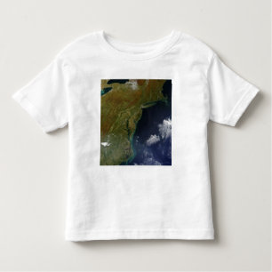 United States East Coast Toddler T-Shirt