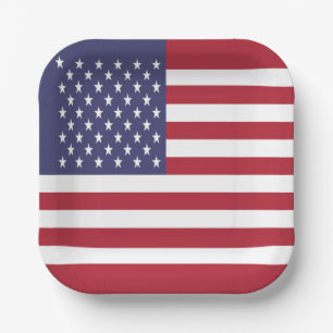 United States Flag Paper Plate