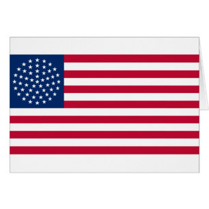 United States Flag with the 51 Stars