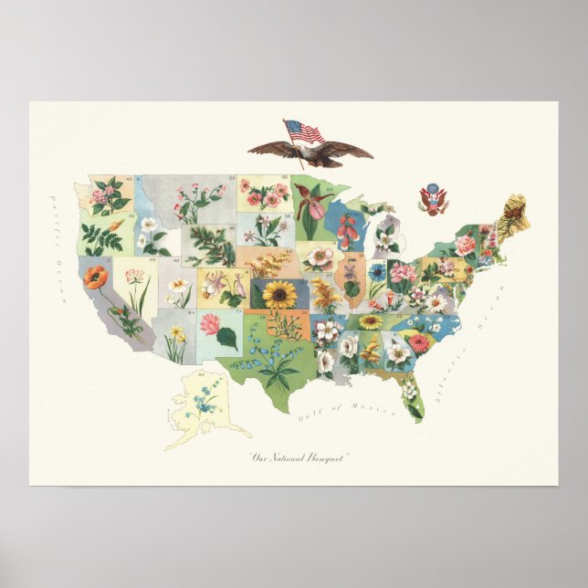 United States Flower Map - Our National Bouquet Poster (Front)
