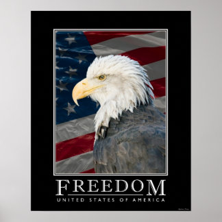 United States Freedom Poster