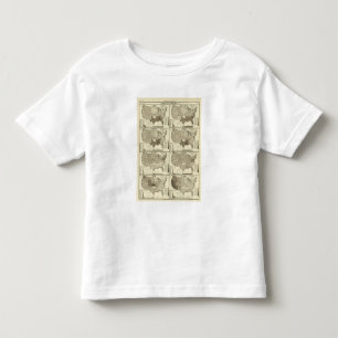 United States lithographed maps 2 Toddler T-Shirt