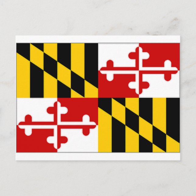 United States Maryland Flag Postcard (Front)