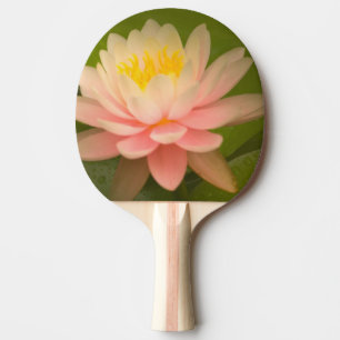 United States, Maryland, Westminster, Union 2 Ping Pong Paddle