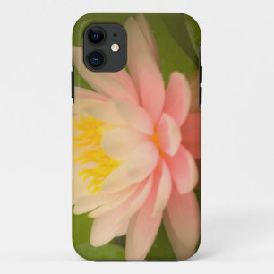 United States, Maryland, Westminster, Union iPhone 11 Case