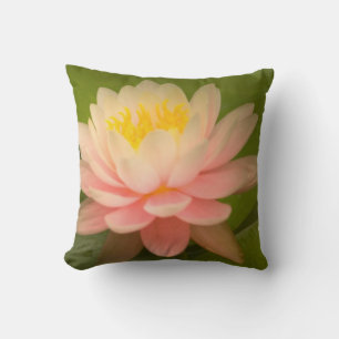 United States, Maryland, Westminster, Union Cushion
