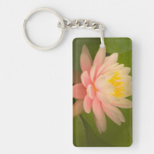 United States, Maryland, Westminster, Union Key Ring