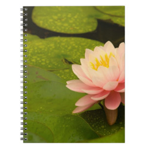 United States, Maryland, Westminster, Union Notebook