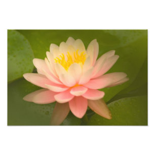 United States, Maryland, Westminster, Union Photo Print