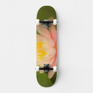 United States, Maryland, Westminster, Union Skateboard