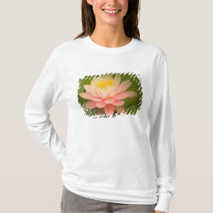 United States, Maryland, Westminster, Union T-Shirt