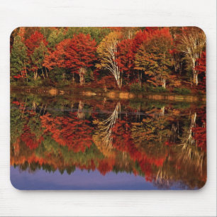 United States, Michigan, Upper Peninsula. Fall Mouse Pad
