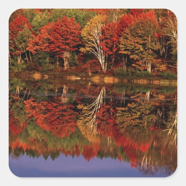 United States, Michigan, Upper Peninsula. Fall Square Sticker (Front)