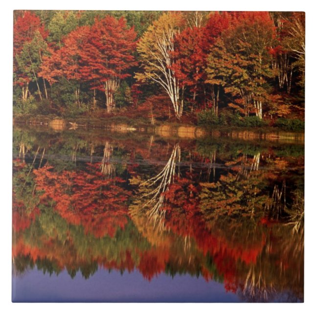 United States, Michigan, Upper Peninsula. Fall Tile (Front)