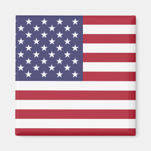 United States National World Flag Magnet