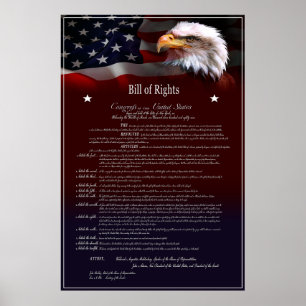United States of America BILL of Rights Poster
