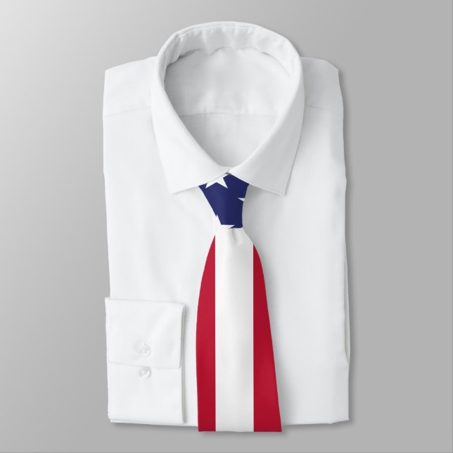 United States of America Flag Tie (Tied)