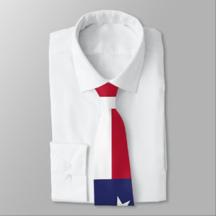 United States of America Flag Tie