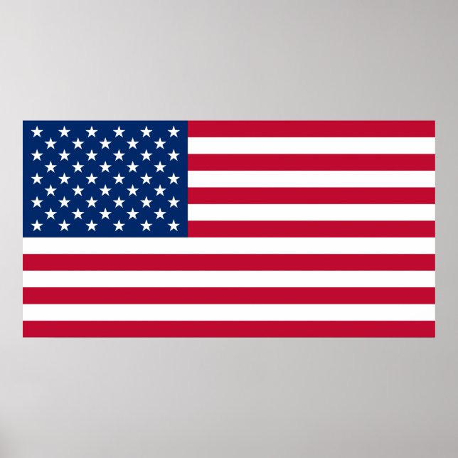 United States of America Flag USA US Flagge Poster (Front)