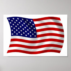 United States of America (USA) Flag Poster Print