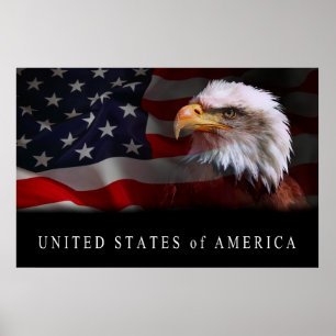UNITED STATES PATRIOTISM SYMBOLS POSTER