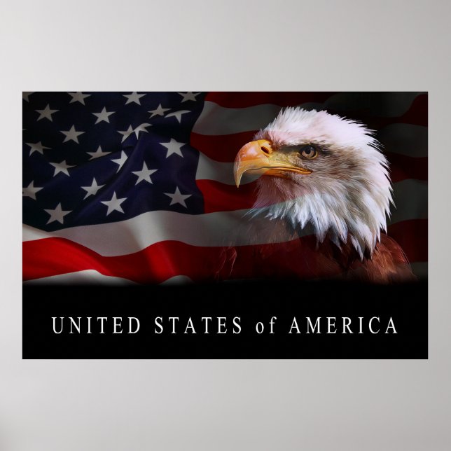 UNITED STATES PATRIOTISM SYMBOLS POSTER (Front)