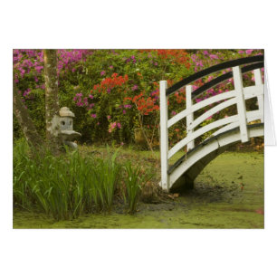 United States; South Carolina; Charleston; 2