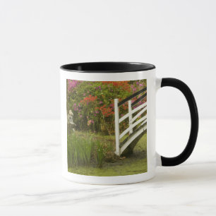 United States; South Carolina; Charleston; 2 Mug