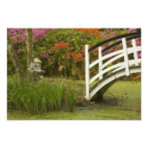 United States; South Carolina; Charleston; 2 Photo Print