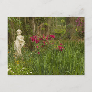 United States; South Carolina; Charleston; 4 Postcard