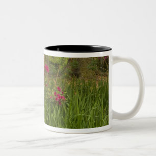 United States; South Carolina; Charleston; 4 Two-Tone Coffee Mug