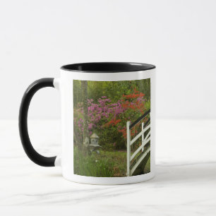 United States; South Carolina; Charleston; 5 Mug