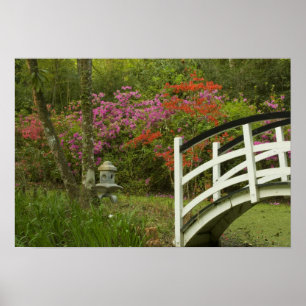 United States; South Carolina; Charleston; 5 Poster