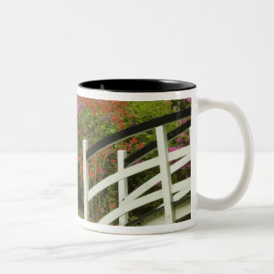 United States; South Carolina; Charleston; 5 Two-Tone Coffee Mug