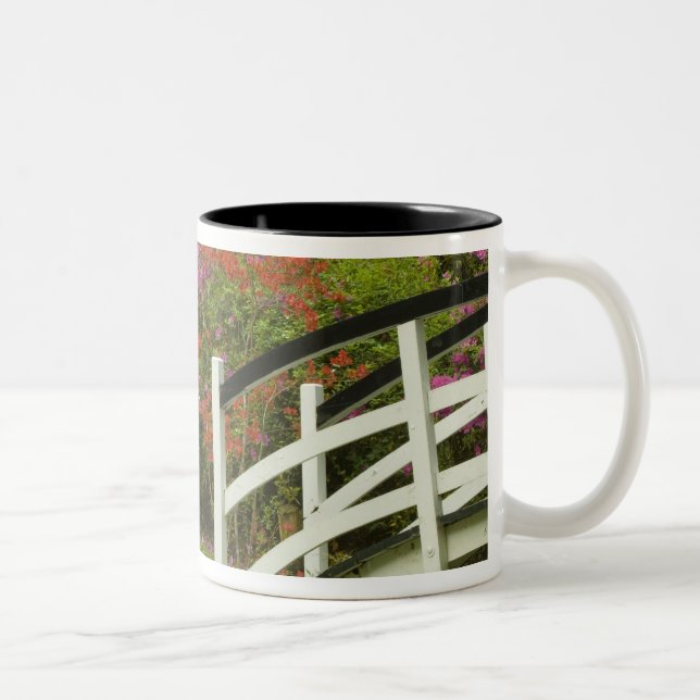 United States; South Carolina; Charleston; 5 Two-Tone Coffee Mug (Right)