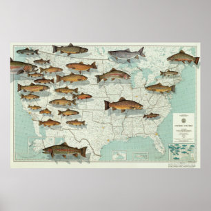 United States Trout Map (1999) Poster