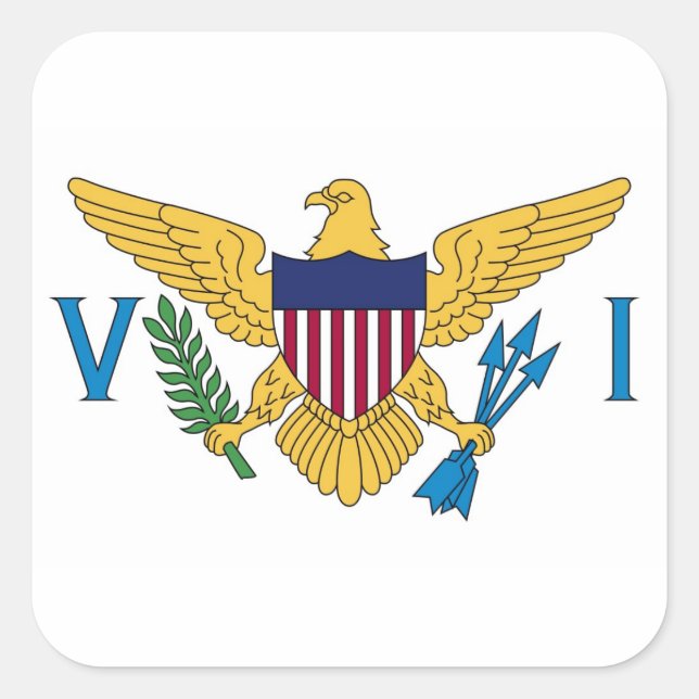 United States Virgin Islands National World Flag Square Sticker (Front)