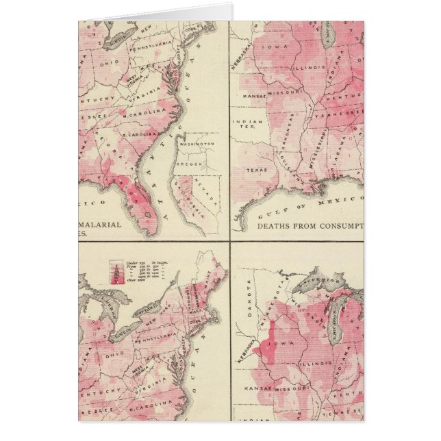 United States vitality maps (Front)