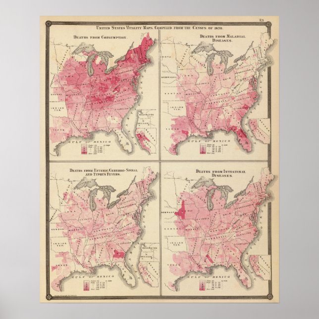 United States vitality maps Poster (Front)