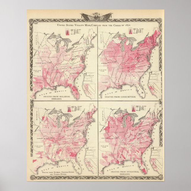 United States vitality maps Poster (Front)
