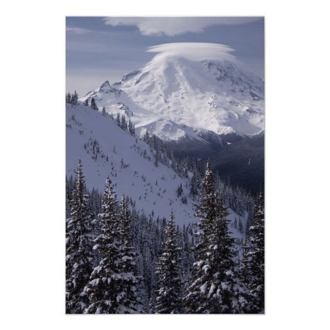 United States, Washington, view of Mt. Rainier Photo Print (Front)