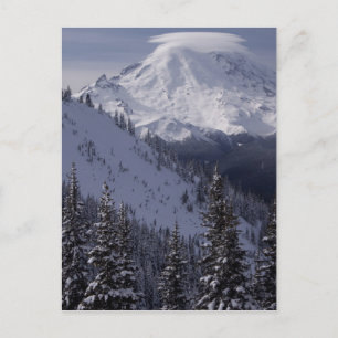United States, Washington, view of Mt. Rainier Postcard