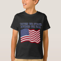 UNITED WE STAND, DIVIDED WE FALL