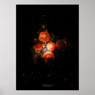 Universal love  poster